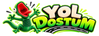 YolDostum.co ana sayfası